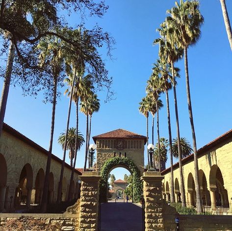 Image blonde pink computer